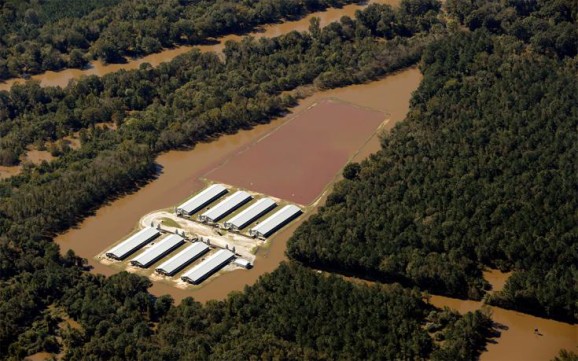 A flooded CAFO farm in North Carolina on October 11. | Photo courtesy of Rick Dove/Waterkeeper Alliance
